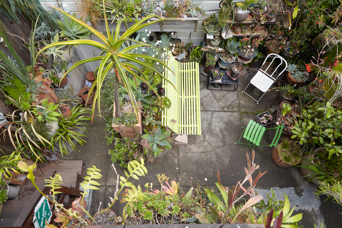 Hidden Urban Paradise: Jim Kumiega's Garden — Flora Grubb Gardens